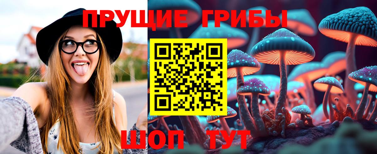Галлюциногенные грибы прущие грибы  Псилоцибиновые грибы MAGIC MUSHROOMS  Вход с VPN  Новочеркасск 