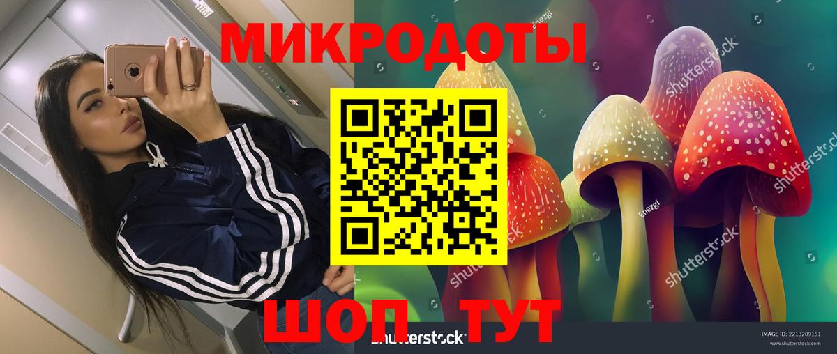 Галлюциногенные грибы мицелий Новочеркасск